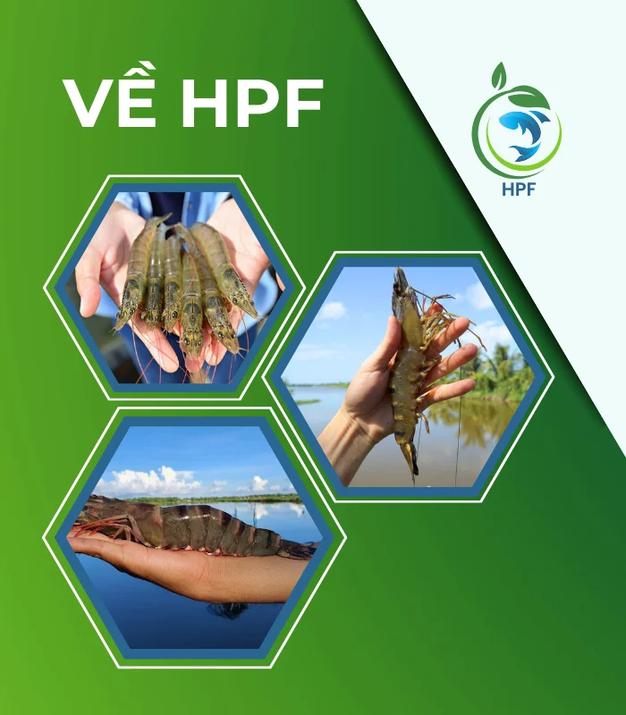 HPF - Chuyên Cung Cấp Các Giải Pháp Nông Nghiệp Bền Vững